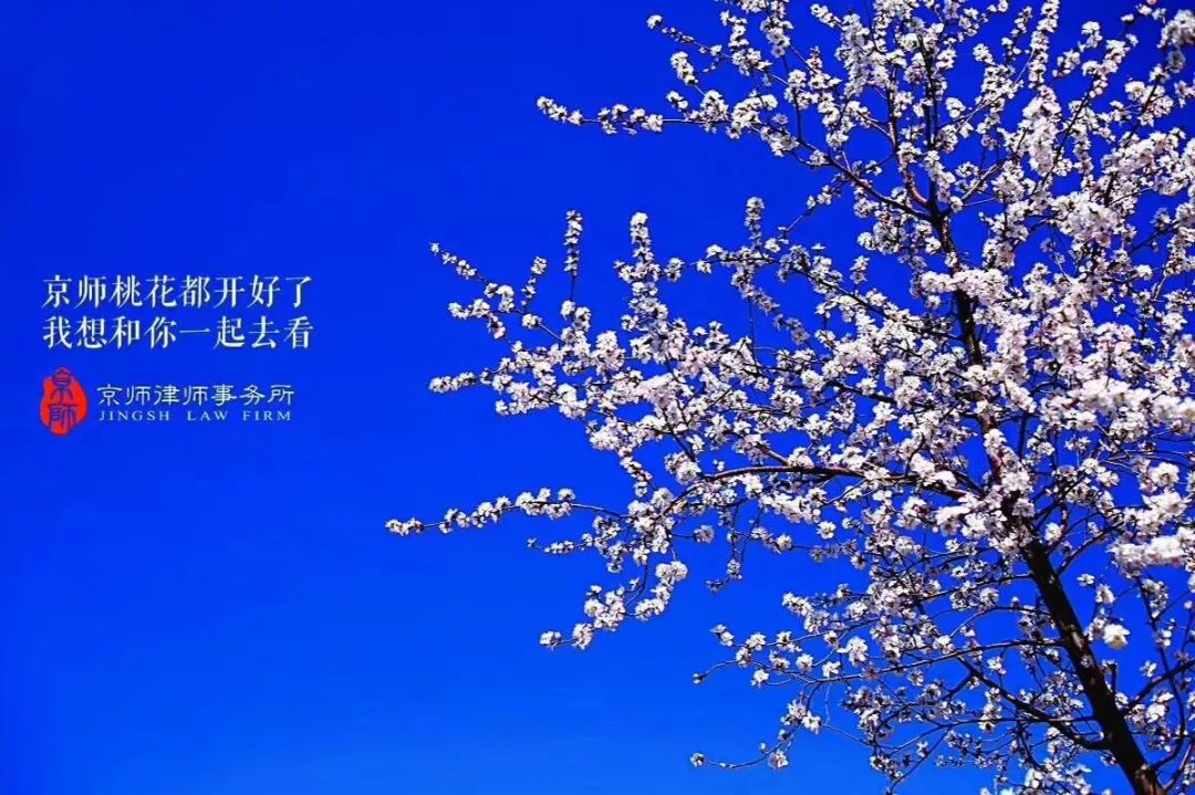 1658476513004021174.jpg 02.jpg