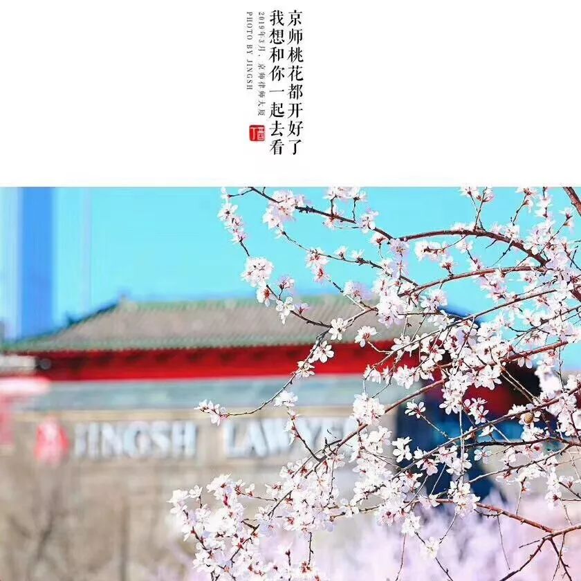 1658476520670066448.jpg 03.jpg